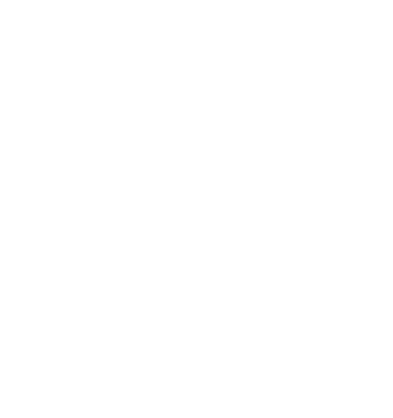 Las Vegas Raiders